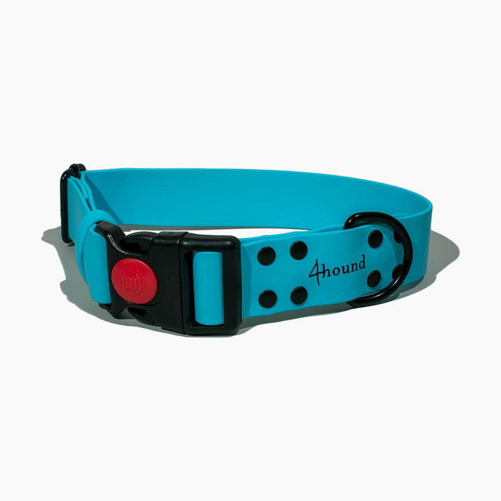 BioThane® klasična ovratnica 'Cyan'