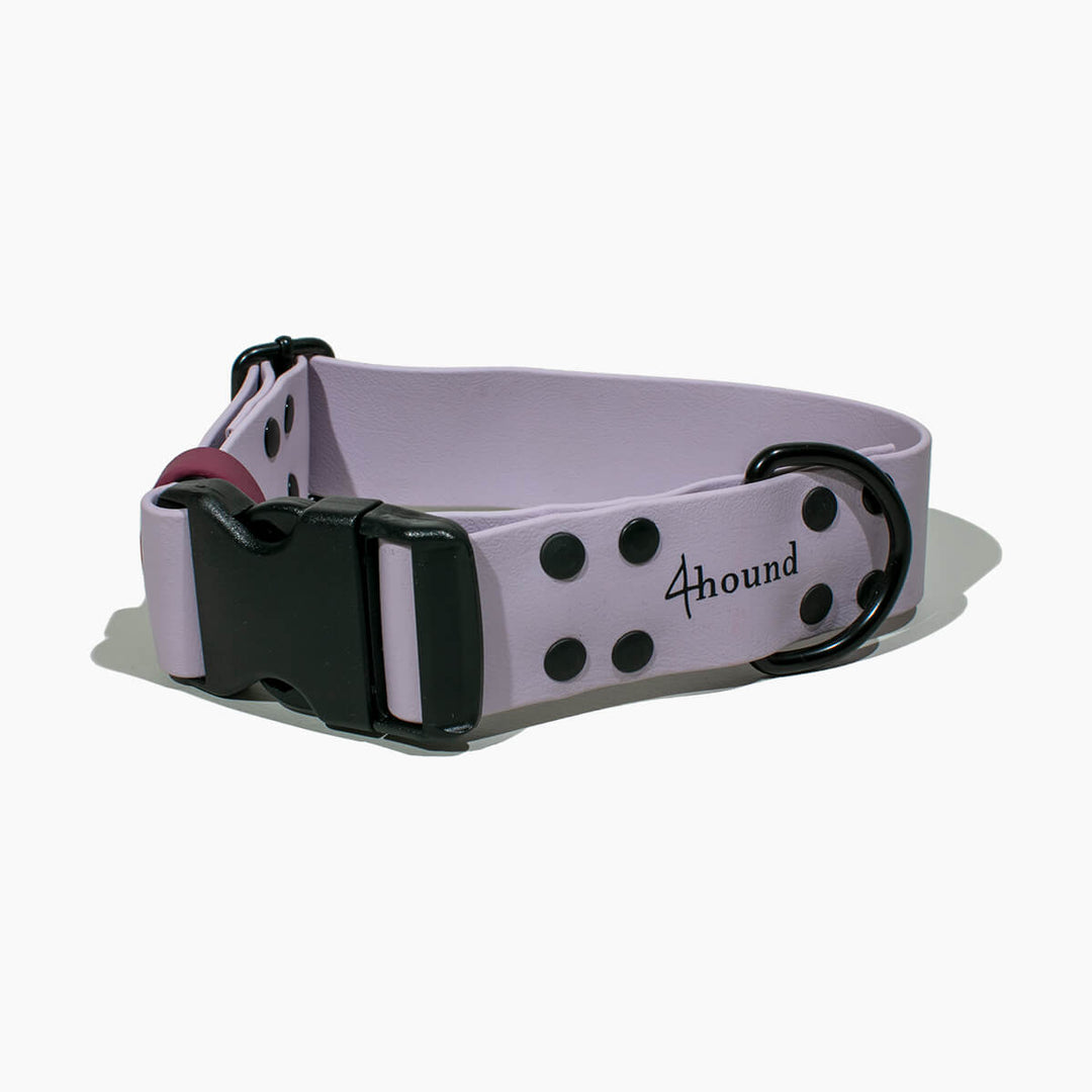 BioThane® classic dog collar 'Lavender'