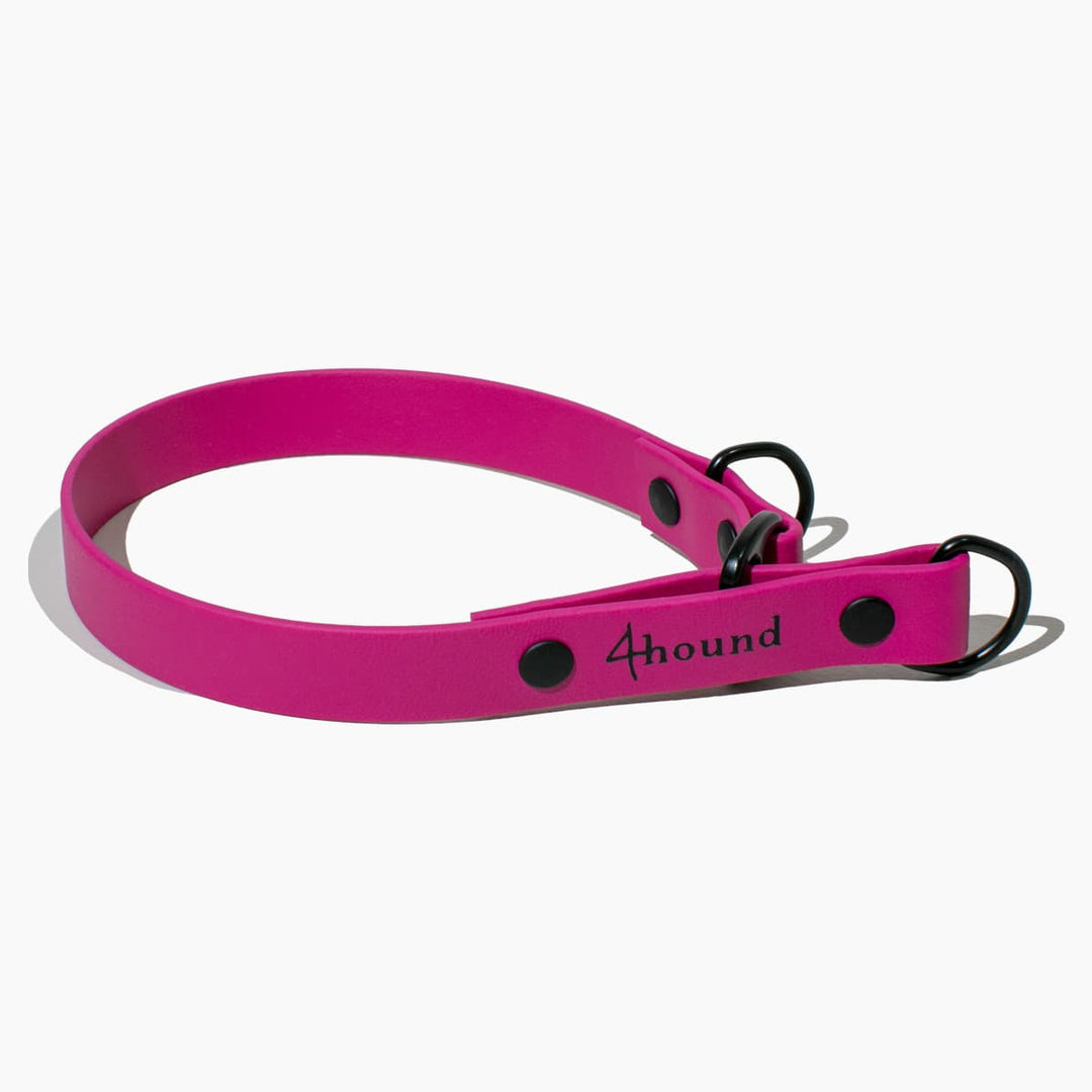 BioThane® martingale collar 'Berry'