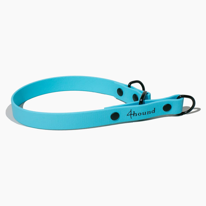 BioThane® martingale collar 'Cyan'
