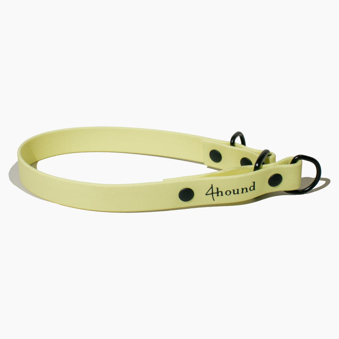 BioThane® martingale collar 'Lemon'