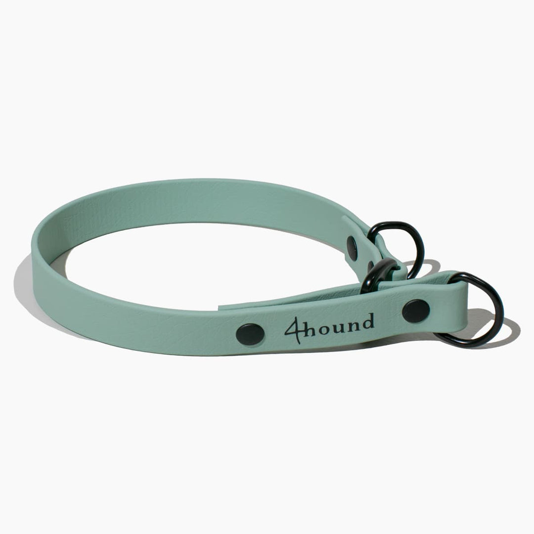 BioThane® martingale collar 'Sage'