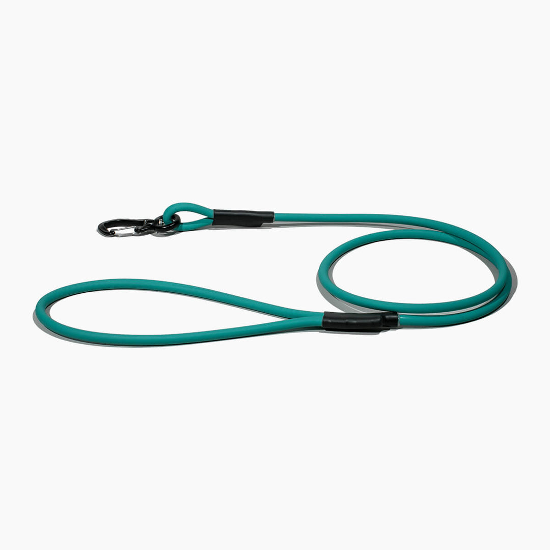 BioThane® round classic leash 'Teal'