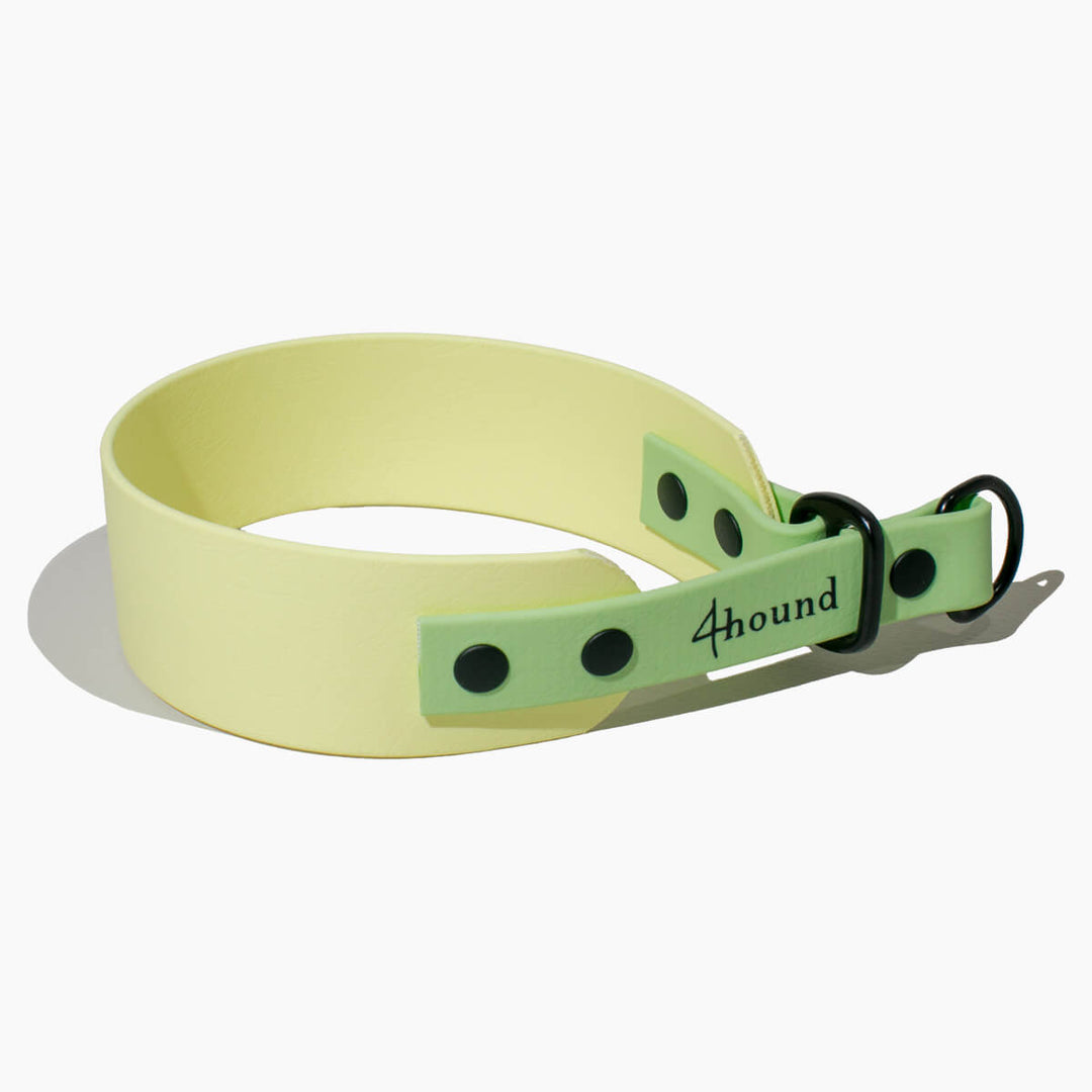 BioThane® sighthound collar 'Lemon'