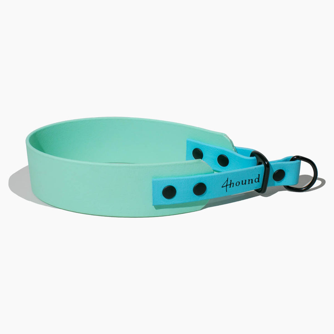 BioThane® sighthound collar 'Mint'