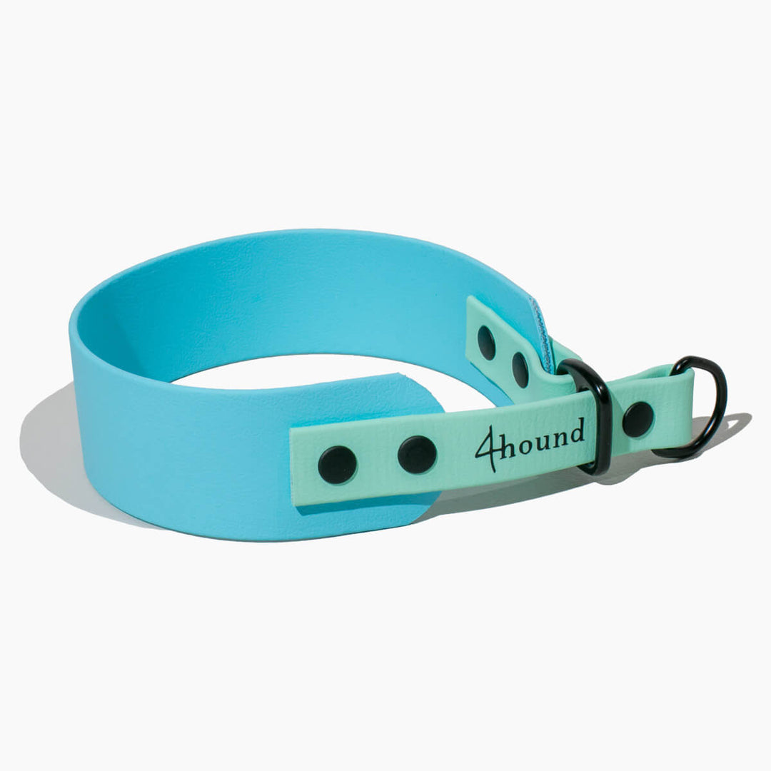 BioThane® sighthound collar 'Minty'