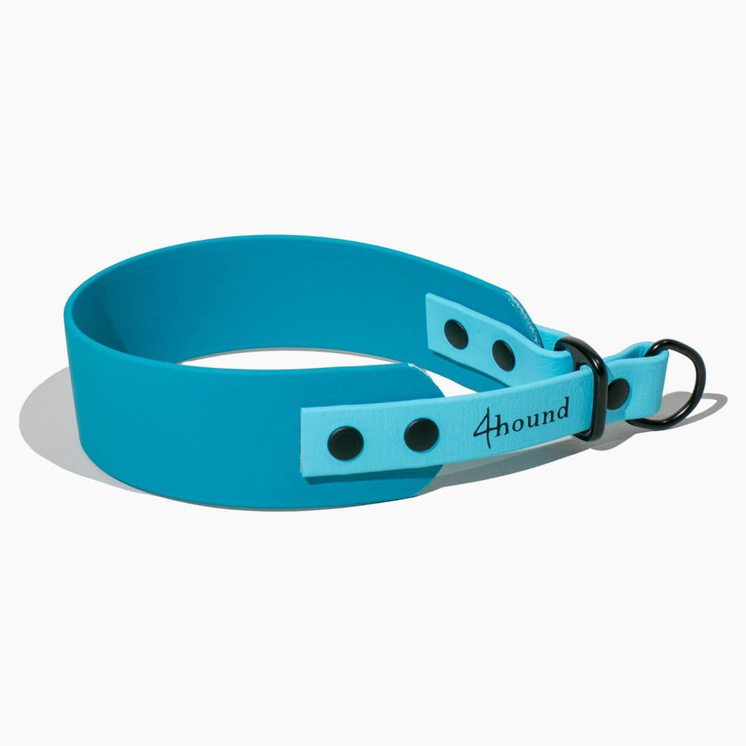 BioThane® sighthound collar 'Petrol'