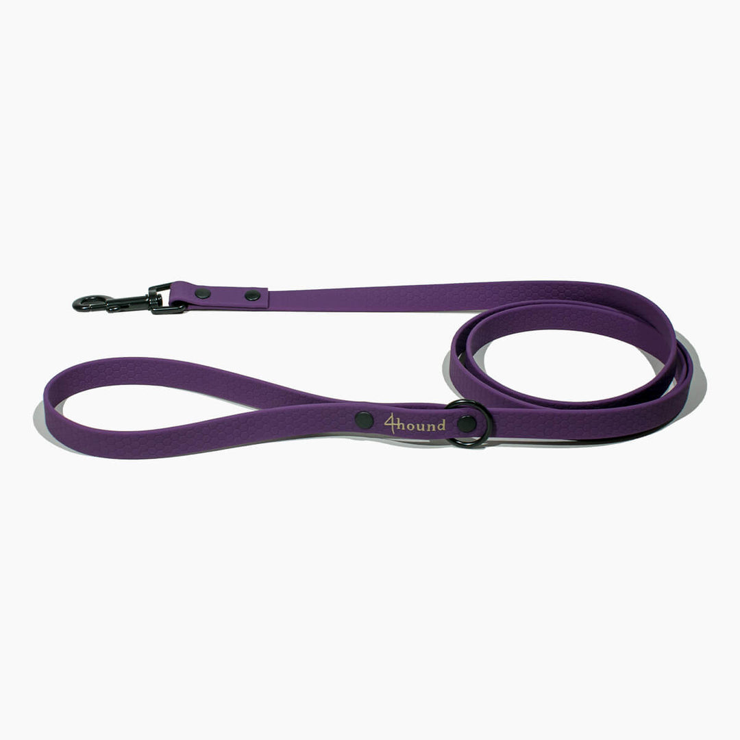 Hexa klasičen povodec 'Violet'