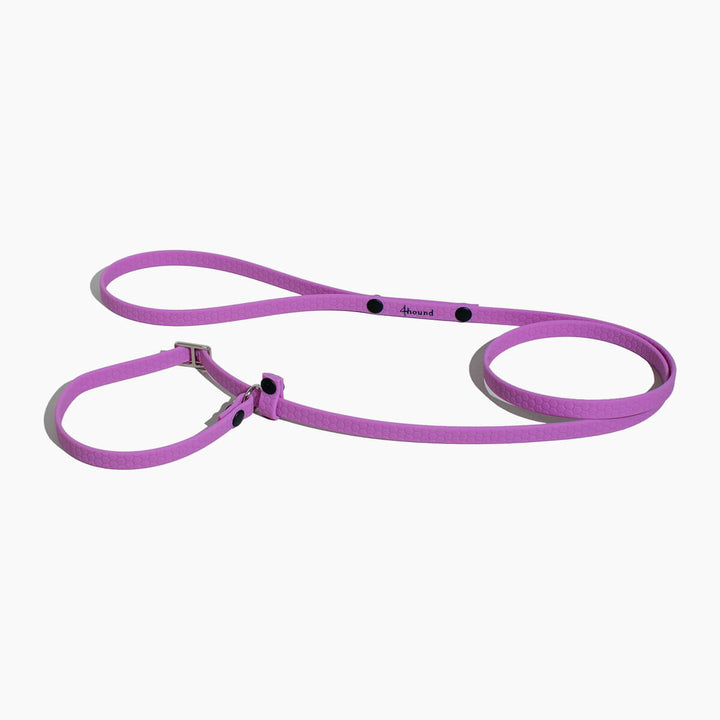 Hexa show slip leash 'Magnolia'