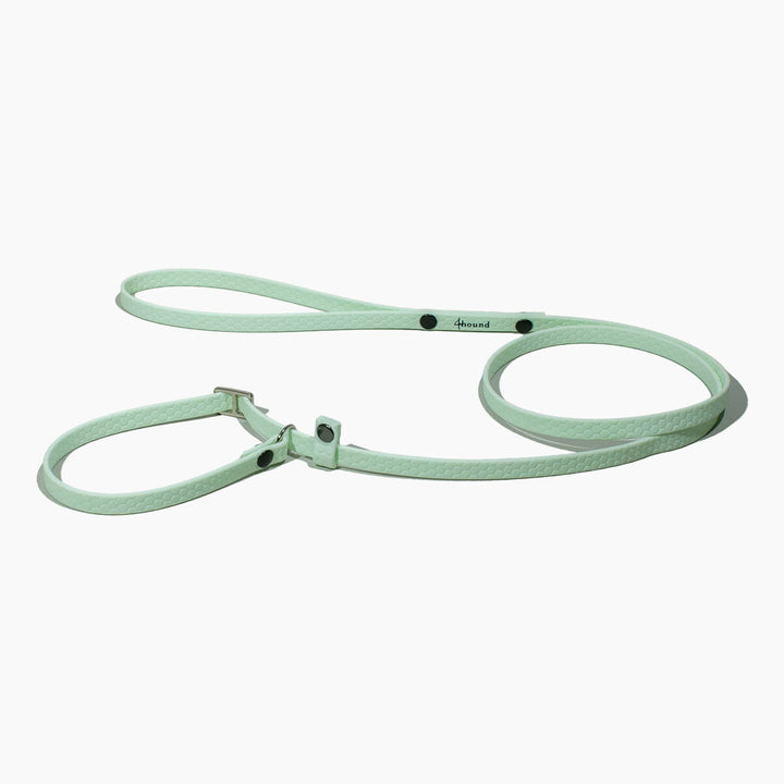 Hexa show slip leash 'Pastel green'