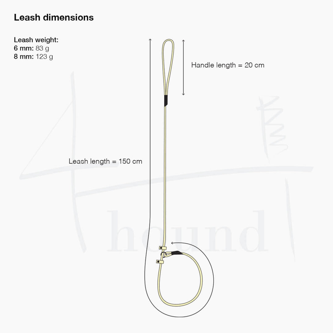 BioThane® round slip leash 'Teal'