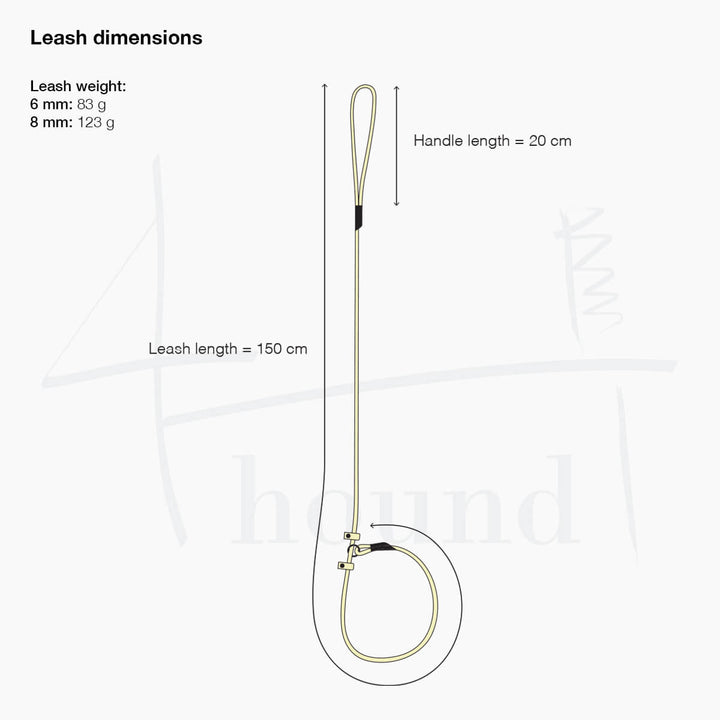 BioThane® round slip leash 'Teal'
