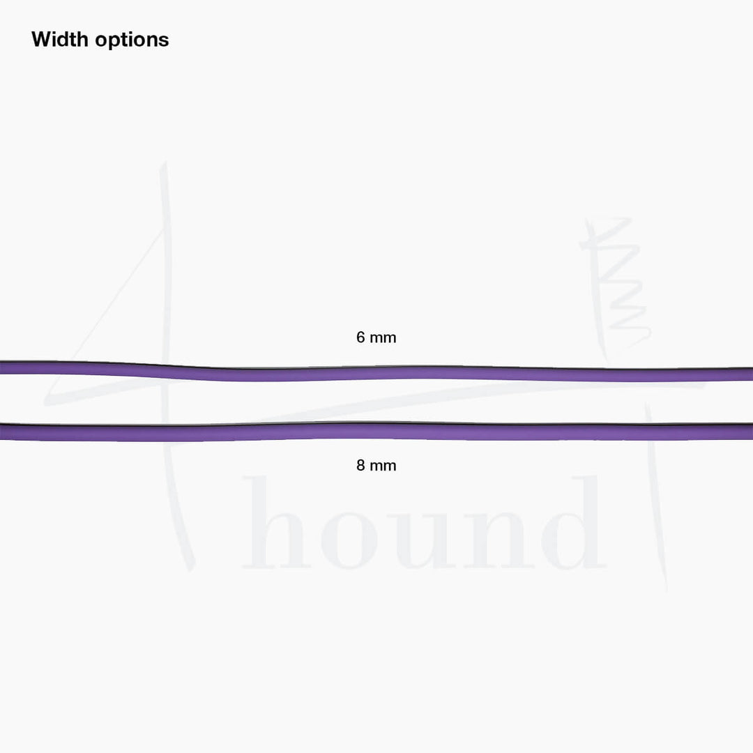 BioThane® round slip leash 'Teal'