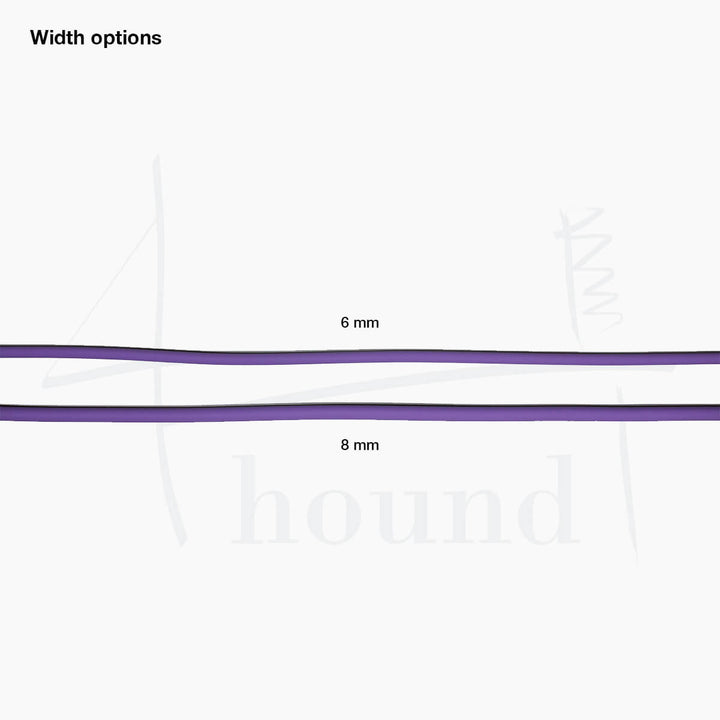 BioThane® round slip leash 'Teal'