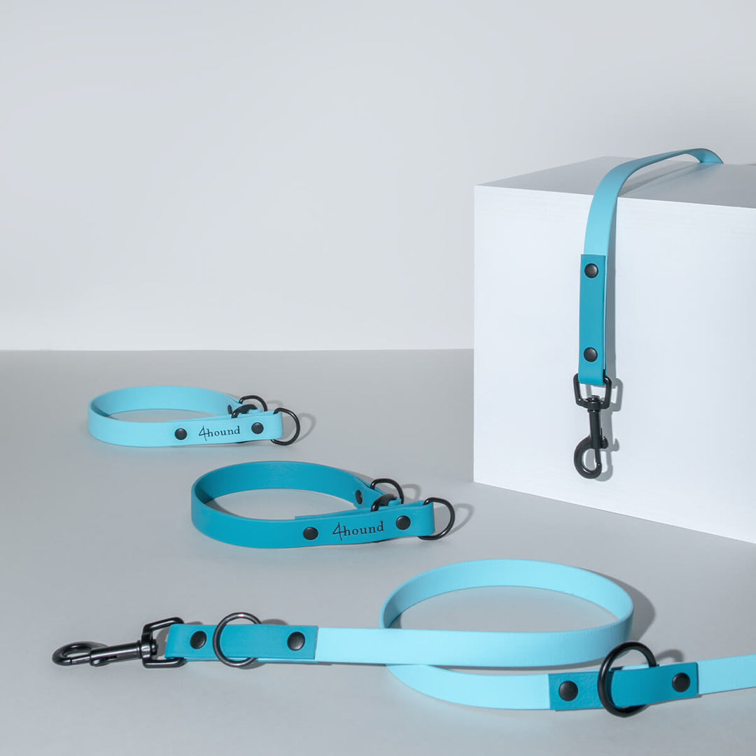 BioThane® martingale collar 'Cyan'