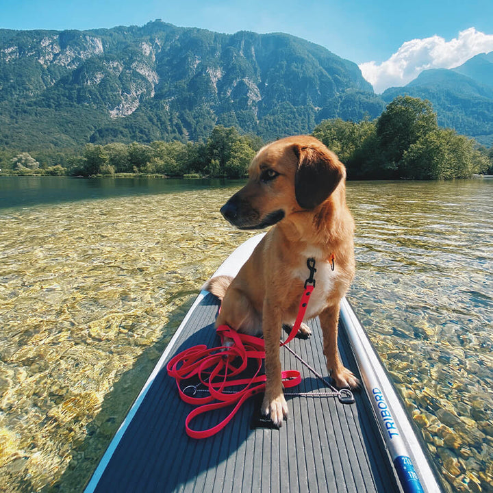 Waterproof tracking leash 'Hexa Magenta'