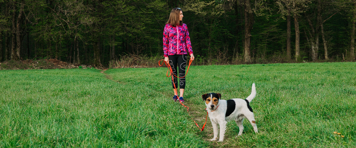 Tracking leash: How to choose the right one?