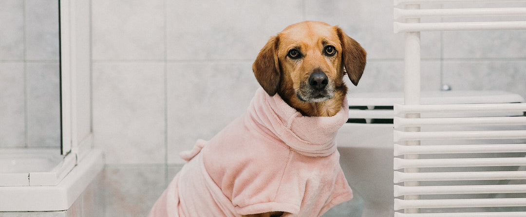 Drying Coats