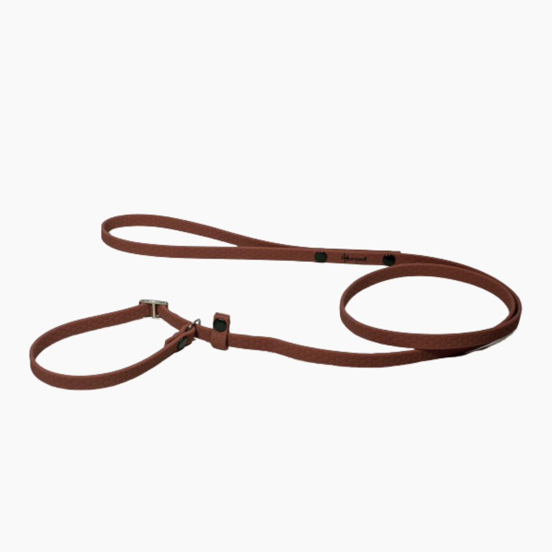 Hexa show slip leash 'Brown'