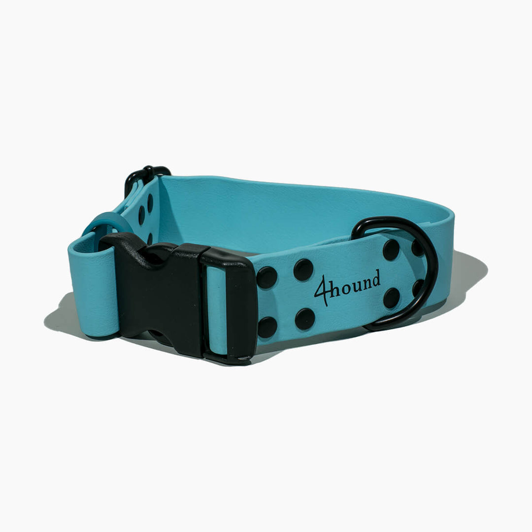 BioThane® classic dog collar 'Cyan'