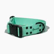 BioThane® classic dog collar 'Mint'