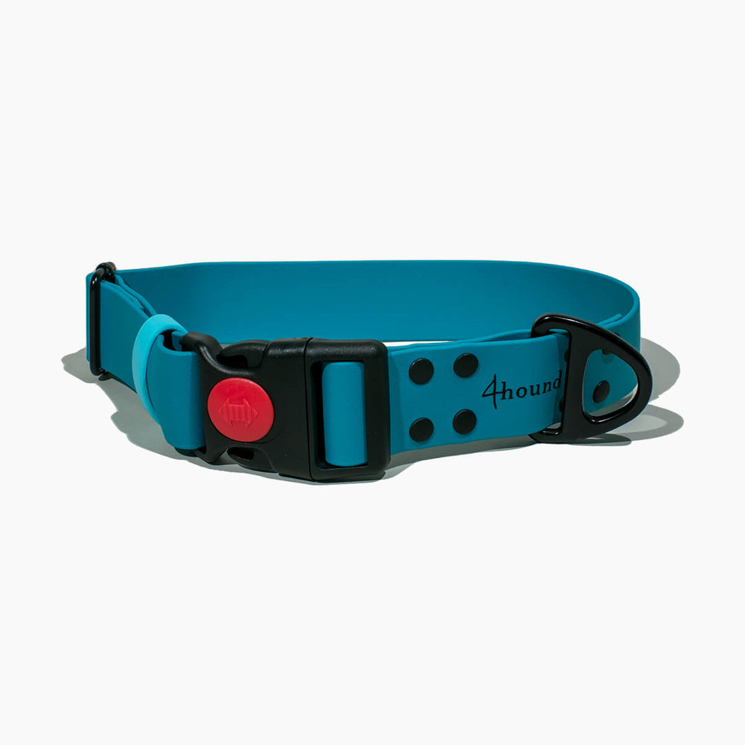 BioThane® classic dog collar 'Petrol'