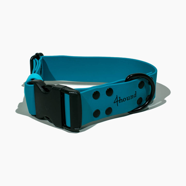 BioThane® classic dog collar 'Petrol'