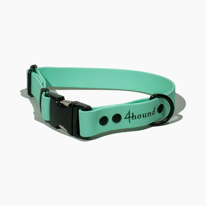 BioThane® classic dog collar 'Mint'