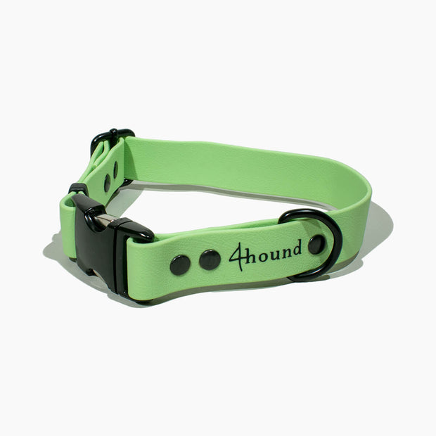 BioThane® classic dog collar 'Pastel Green'