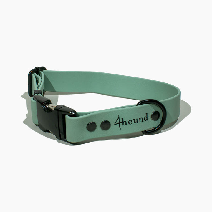 BioThane® classic dog collar 'Sage'