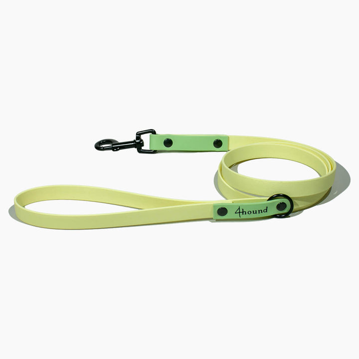 BioThane® classic leash 'Lime'