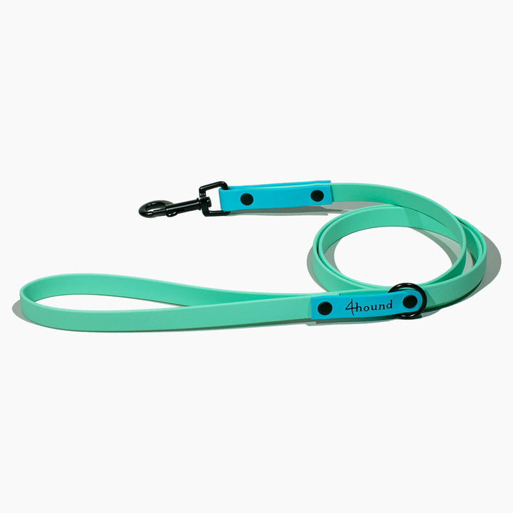 BioThane® classic leash 'Minty'