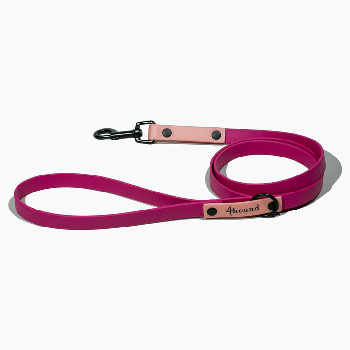 BioThane® classic leash 'Rubi'