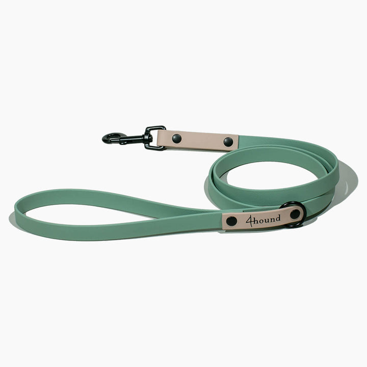 BioThane® classic leash 'Verdi'