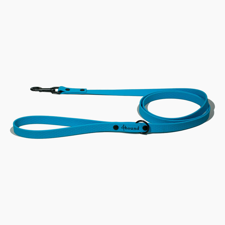 Hexa classic leash 'Cyan'