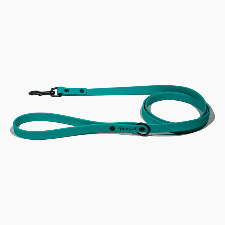 Hexa classic leash 'Teal'