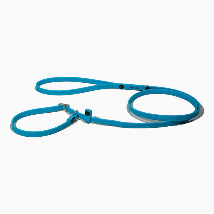 Hexa show slip leash 'Cyan'