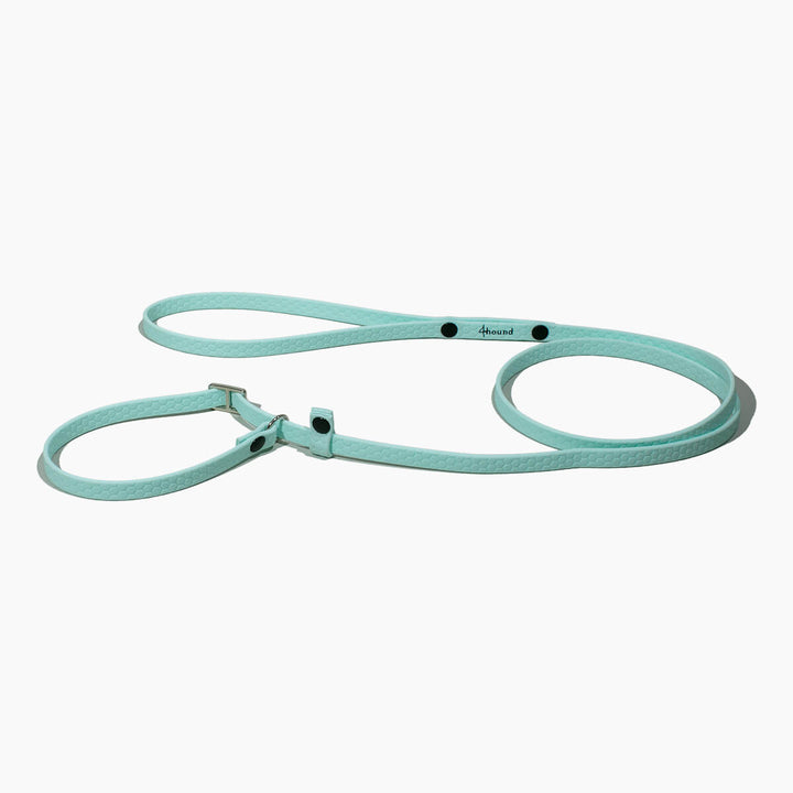 Hexa show slip leash 'Ice Blue'