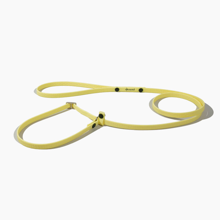 Hexa show slip leash 'Lemon'