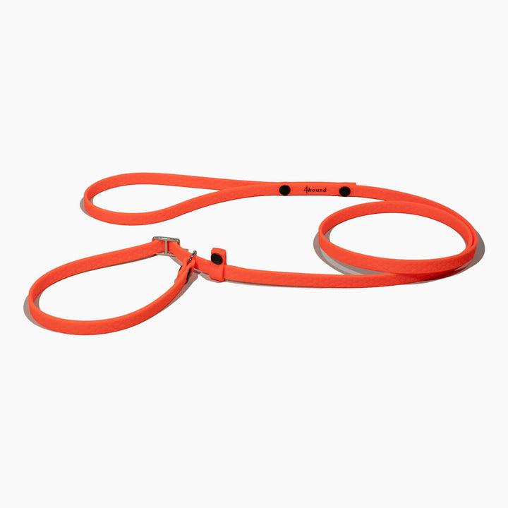 Hexa show slip leash 'Neon Orange'