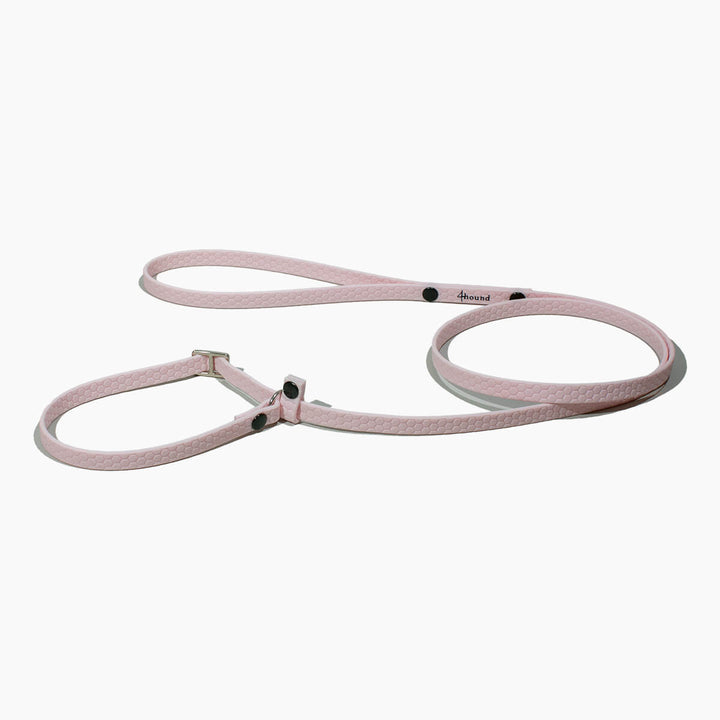 Hexa show slip leash 'Rose'