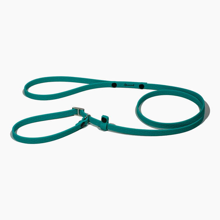 Hexa show slip leash 'Teal'