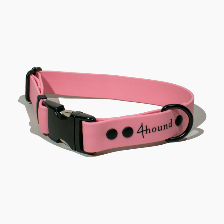 BioThane® classic dog collar 'Rose'