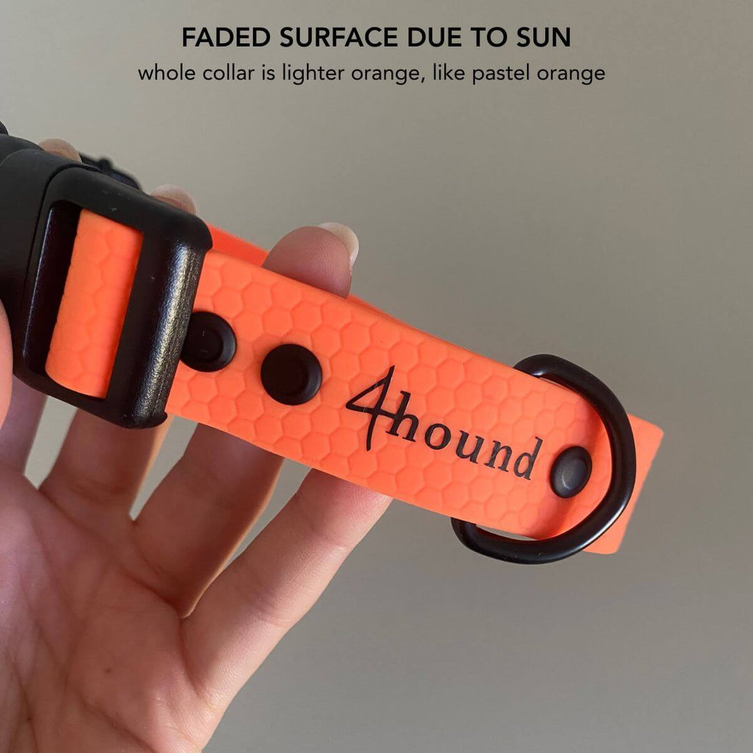 Klasična ovratnica za pse Hexa 'Neon Orange' FADED