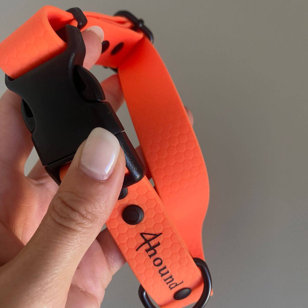 Klasična ovratnica za pse Hexa 'Neon Orange' FADED
