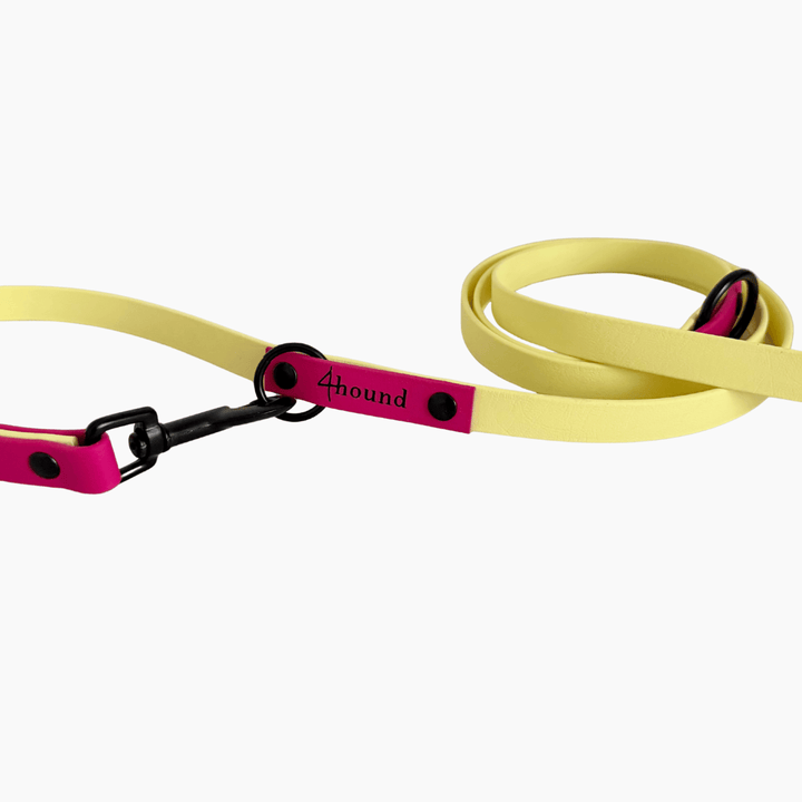 BioThane® adjustable leash 'Yellow + Berry' 2m
