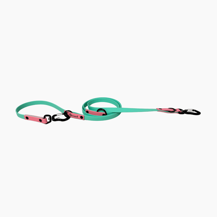 BioThane® adjustable leash 'Mint + Rose' 2m