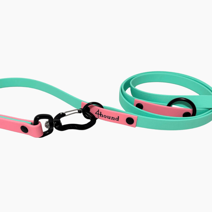 BioThane® adjustable leash 'Mint + Rose' 2m