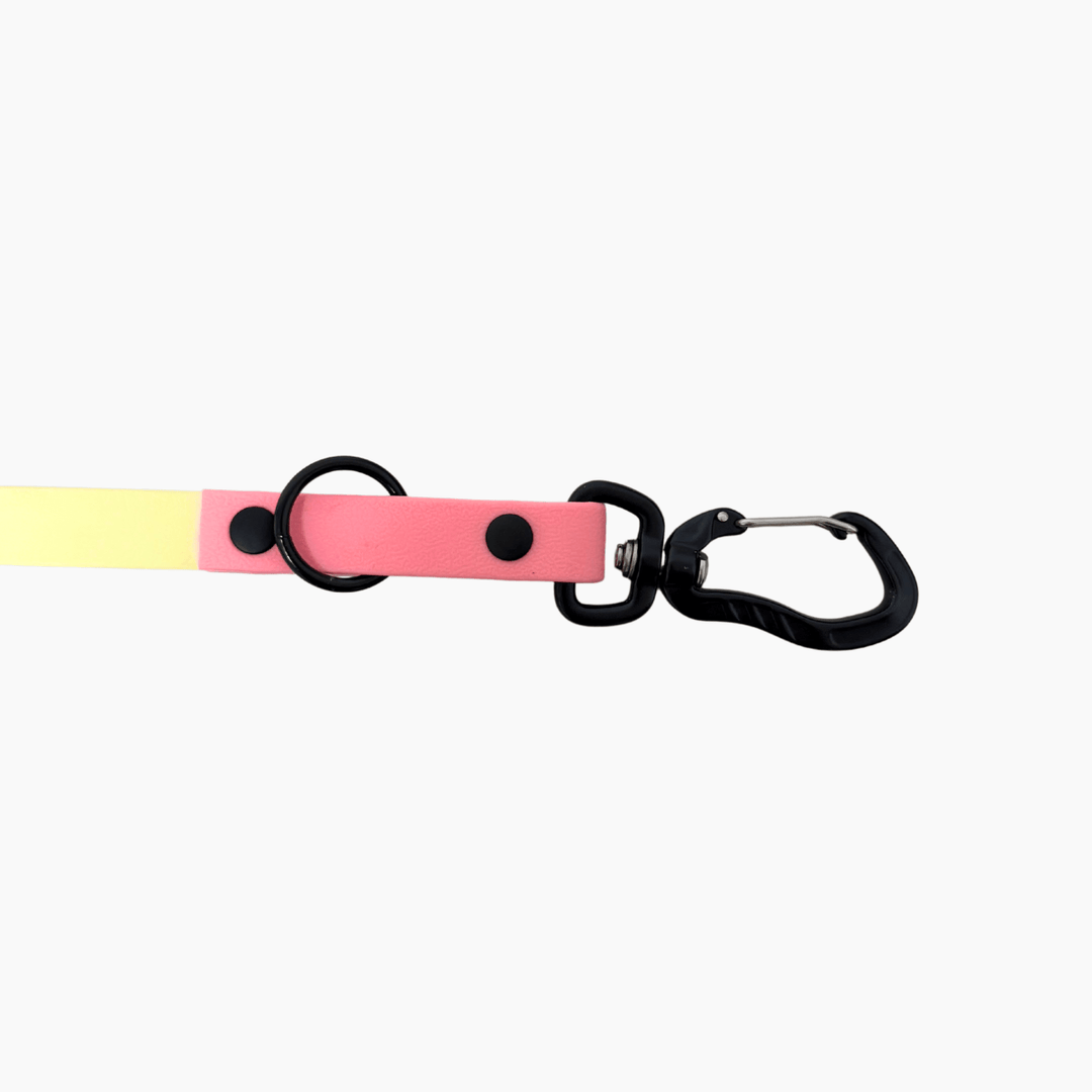 BioThane® adjustable leash 'Mint + Rose' 2m