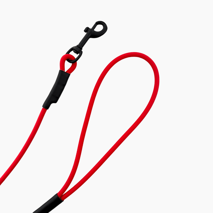 BioThane® round leash 'Red'